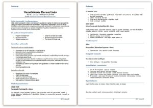 CV-péntek: üzleti tanácsadó önéletrajza